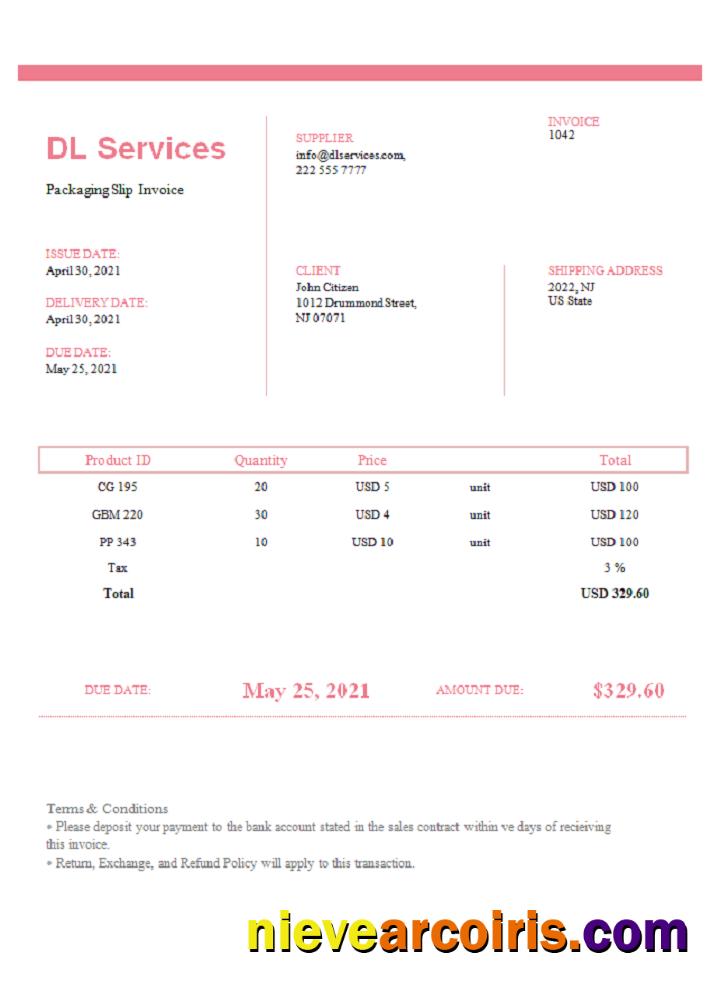 USA DL Services invoice